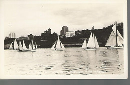 59074 ) USA Sailboats Puget Sound Tacoma Wa Real Photo Post Card RPPC Undivided Back - Tacoma