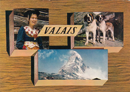 Suisse - Valais - Jeune Fille D'Evolène - Chien Du Grand Saint-Bernard - Cervin - Evolène