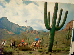 USA - ARIZONA PHOENIX .Cactus & Desert Horseback Riders VB1976 IP6602 - Phönix