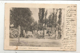 JC, Cp , 18 , GRACAY , Marché Aux Porcs , Dos Simple , Voyagée 1903 - Graçay