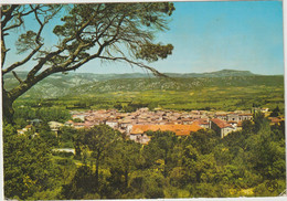 Hérault : ANIANE : Vue  1981 - Aniane