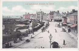 The Esplanade , Bangor ,co Down - Down