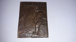 PLACCA DA DIVISA ALPINI TRIDENTINA GRUPPO MILITARIA MEDAGLIA - Italia