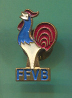 Volleyball Pallavolo - FFVB France Federation, Vintage Pin  Badge, Abzeichen - Voleibol