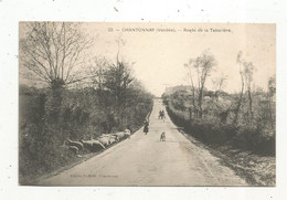 JC, Cp ,85 , CHANTONNAY , ROUTE DE LA TABARIERE , Vierge - Chantonnay