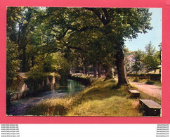 CP (Réf : U 734) AUBERIVE (52 HAUTE MARNE)  Promenade  D'Entre Deux Eaux - Auberive