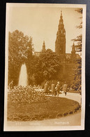 AK Fotografie Wien Rathaus Passanten, Park Nicht Gelaufen - Ringstrasse