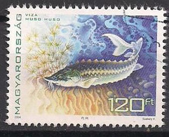 Ungarn  (2004)  Mi.Nr.  4859  Gest. / Used  (2bc14) - Used Stamps