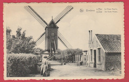 Bredene - De Oude Molen / Le Vieux Moulin  - 1951 ( Verso Zien ) - Bredene