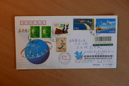 Postal Stationery, Swan - Cisnes
