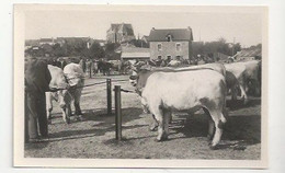 44 - HERBIGNAC - LE CHAMP DE FOIRE - ANIMATION  - MARCHÉ AU BÉTAIL - Herbignac