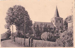 Heppeneert - De Kerk - Noorden - Maaseik - Circulé - Nels - TBE - Maaseik
