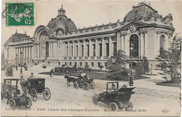 Delcampe - 75 Paris  75008  -  Le Petit  Palais   Des Champs Elysees - Paris (08)