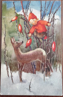 Mili Weber Fairy With Deer - Otros Ilustradores