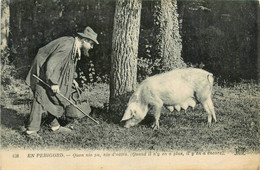 En Périgord * Cochon Cherchant Les Truffes * Truffière * Type Personnage - Autres & Non Classés