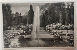 Bad Pyrmont, Palmengarten Verlobungslaube C13 - Hameln (Pyrmont)