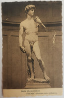 David Michelangelo , Galleria Antica E Moderna C13 - Firenze (Florence)