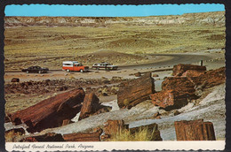 Arizona, Petrified Forest National Park, Date Written On Back 1984 - Other & Unclassified