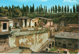 ERCOLANO - AREA SACRA E CASE PANORAMICHE -  F.G. - Ercolano