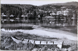 Carte Postale : 38 : BRANGUES : Un Coin Du Rhône Et Les Monts Du Bugey, Barque "PECHE B7 45" - Brangues