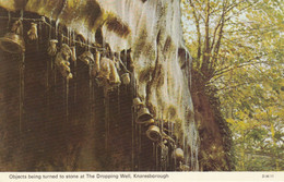 Postcard Knaresborough Nr Harrogate Objects Turning To Stone The Dropping Well My Ref B14579 - Harrogate