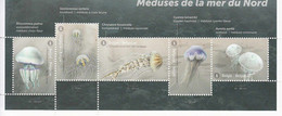 2021 Belgium Jellyfish Of North Sea Fish Marine Life Complete Strip Of 5 MNH  @ BELOW FACE VALUE - Nuevos