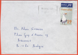 OLANDA - NEDERLAND - Paesi Bassi - 2003 - 59 Lesser Black-Backed Gull (Larus Fuscus), Bird - Viaggiata Da 's-Gravenhage - Briefe U. Dokumente