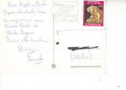 LUSSEMBURGO  1989 - Unificato  1167 - Indipendenza - Storia Postale