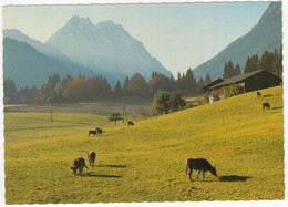 Letzte Weide Im Herbstlichen Tal - (Österreich) - Verlag Dr. A. Defner, Igls Bei Innsbruck, Austria - Igls