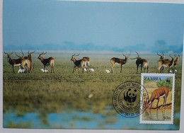 Zambia Maxicard, Black Lechwe - Sambia