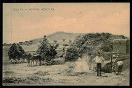 ELVAS - COSTUMES - Motivos Agricolas. ( Nº  P 91) Carte Postale - Portalegre