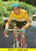 Grote Foto Photo Renner Coureur Eddy Merckx - Ciclismo