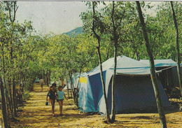 66 - (Pyrénées Orientales) - SOREDE - Camping "Les Micocouliers" - Une Allée - Other & Unclassified