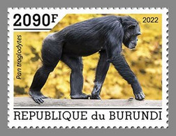 BURUNDI 2022 MNH Chimpanzees Schimpansen Chimpanzes 1v - OFFICIAL ISSUE - DHQ2211 - Chimpancés