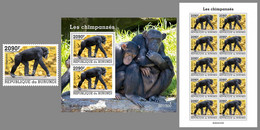 BURUNDI 2022 MNH Chimpanzees Schimpansen Chimpanzes SET - OFFICIAL ISSUE - DHQ2211 - Chimpanzees