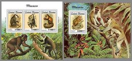 GUINEA BISSAU 2021 MNH Monkeys Affen Singes M/S+S/S - OFFICIAL ISSUE - DHQ2211 - Apen
