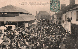 Challans : Marché Aux Volailles - Challans