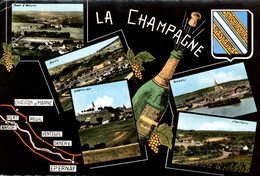 LA CHAMPAGNE MULTI VUES - Champagne-Ardenne