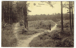 Rijmenam - Sous-Bois - Bonheiden