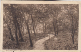 A9716) DOMBURGSCHE BOSSCHEN - Gel. 1914 - DOMBURG - Domburg