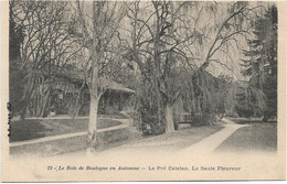 75 Paris 75016  -  Bois De Boulogne  - Le Pre Catalan -   Le Saule Pleureur - Arrondissement: 16