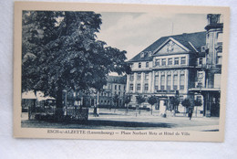 6533/ESCH-sur-ALZETTE - Place Norbert Metz Et Hôtel De Ville - Esch-Alzette