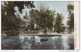 New Hampshire Concord Scene In White's Park 1909 - Concord