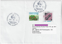 Canada 2005 Cover With Cancel Home Of The Meteorite Abee Space - North  America