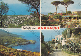 CARTOLINA  ANACAPRI NAPOLI,CAMPANIA,SALUTI,MARE,SOLE,SPIAGGIA,ESTATE,VACANZA,BELLA ITALIA,BARCHE,VIAGGIATA 1966 - Napoli (Napels)