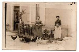 89 JOUX LA VILLE écrite En 1911 - Distribution Du Grain Aux Volailles - Carte-photo - Breeding