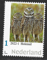 Nederland  2022-1  Uilen Owls  Holenuil  Burrowing Owl    Postfris/mnh/neuf - Nuevos