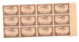 COB PA13 - Bloc De 12 Timbres - Paysage Survolé Par Avion - XX - Unused Stamps