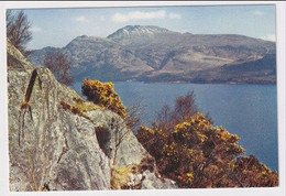 AK 043016 SCOTLAND - Ben Lomand From Loch Lomond - Dunbartonshire
