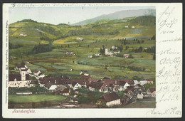 REICHENFELS - Panorama 1901 - Old Postcard (see Sales Conditions) 05341 - Wolfsberg